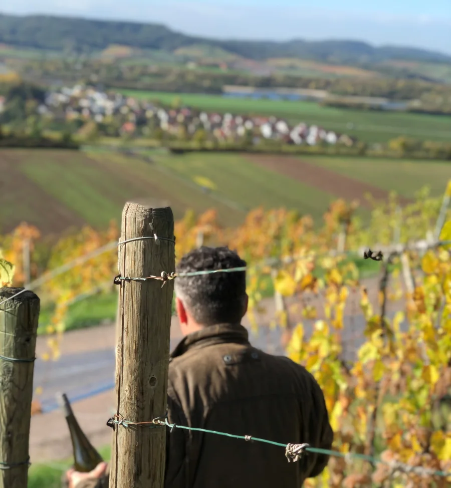 13 Hektar in Hohenlohe: Markus Busch hat das Weingut Karl Busch gegründet