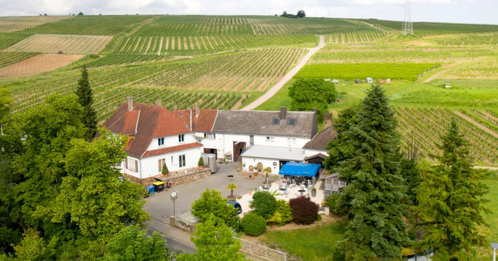 Luftaufnahme des Gutshofs und der Weinberge des Weinguts Jonas in Eltville