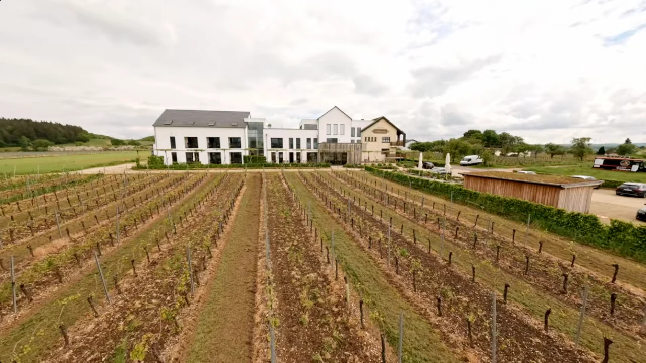 Drohnen-Rundflug durch SAUERWEINS Weingut