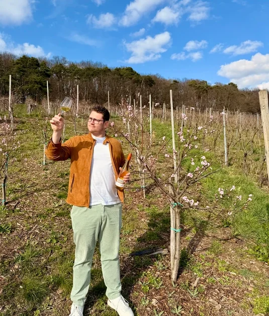Hier wächst der Riesling des Weinguts Jan Bollig