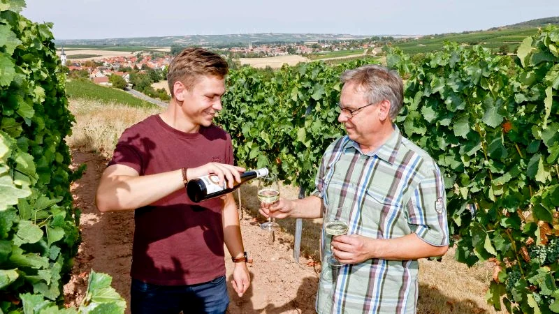 Weingut Gallé in Rheinhessen - Die Spannbreite der Böden prägt die Weine von Gutgallé