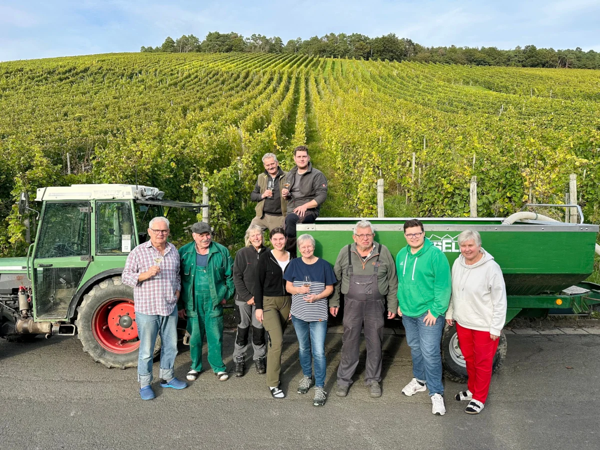 Weinlese - Weingut Bollig