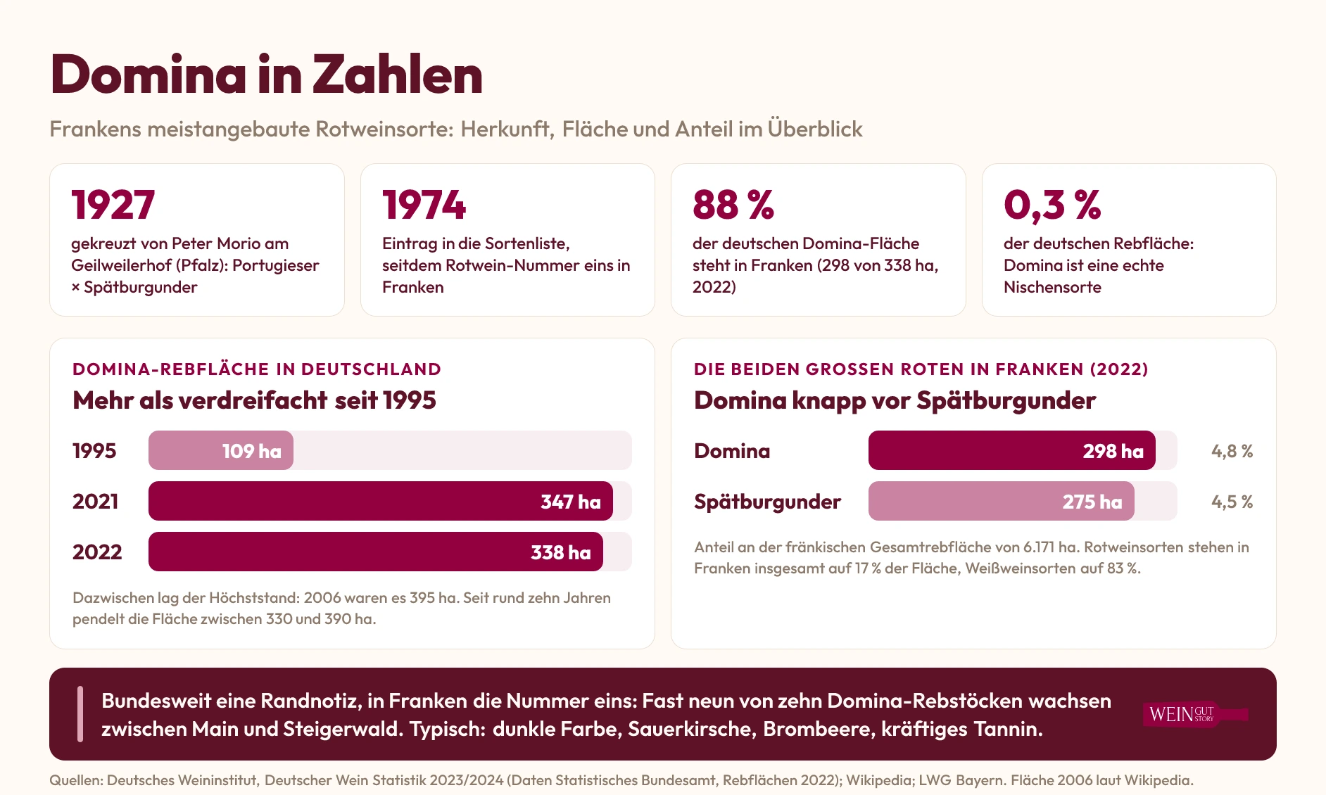 Infografik Domina in Zahlen: 1927 gekreuzt, 1974 Sortenliste, 88 Prozent der 338 Hektar stehen in Franken, Domina 298 Hektar vor Spätburgunder 275 Hektar (2022), Entwicklung von 109 Hektar 1995 auf 338 Hektar 2022