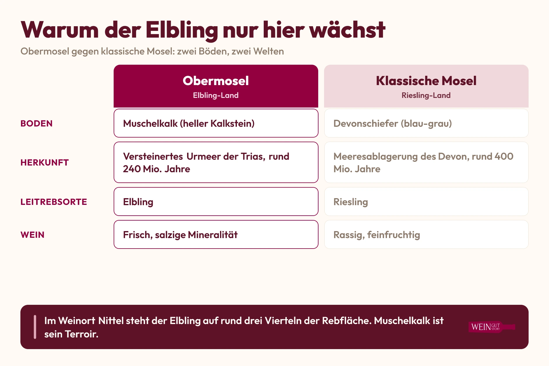 Vergleich der Böden von Obermosel mit Muschelkalk und klassischer Mosel mit Schiefer und ihrer Leitrebsorten Elbling und Riesling
