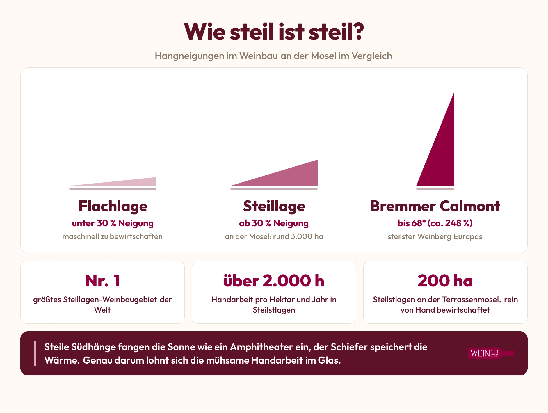 Infografik zu Hangneigungen an der Mosel, Steillage ab 30 Prozent, Bremmer Calmont bis 68 Grad