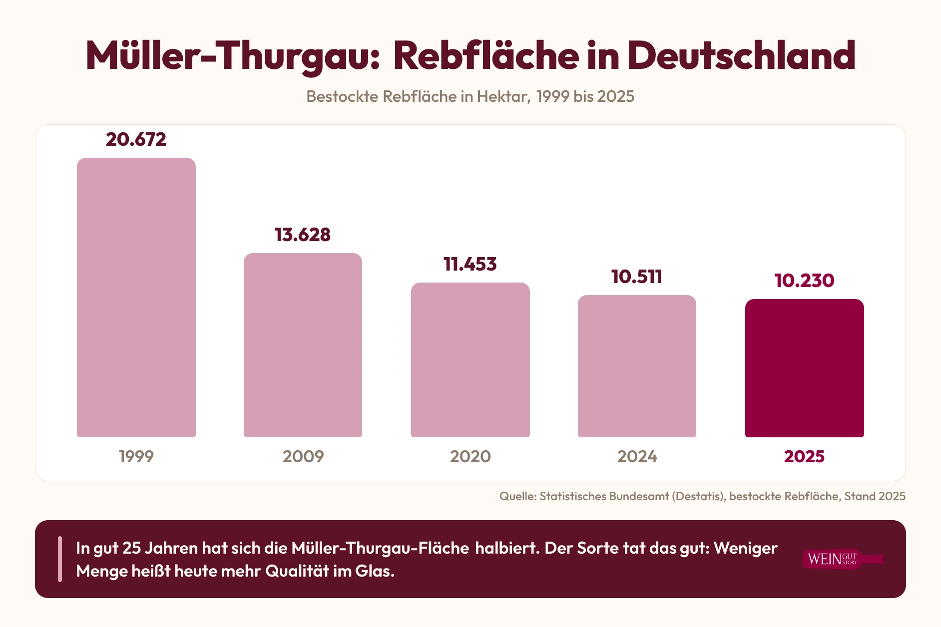 Infografik: Entwicklung der Müller-Thurgau-Rebfläche in Deutschland von 20.672 Hektar (1999) auf 10.230 Hektar (2025)