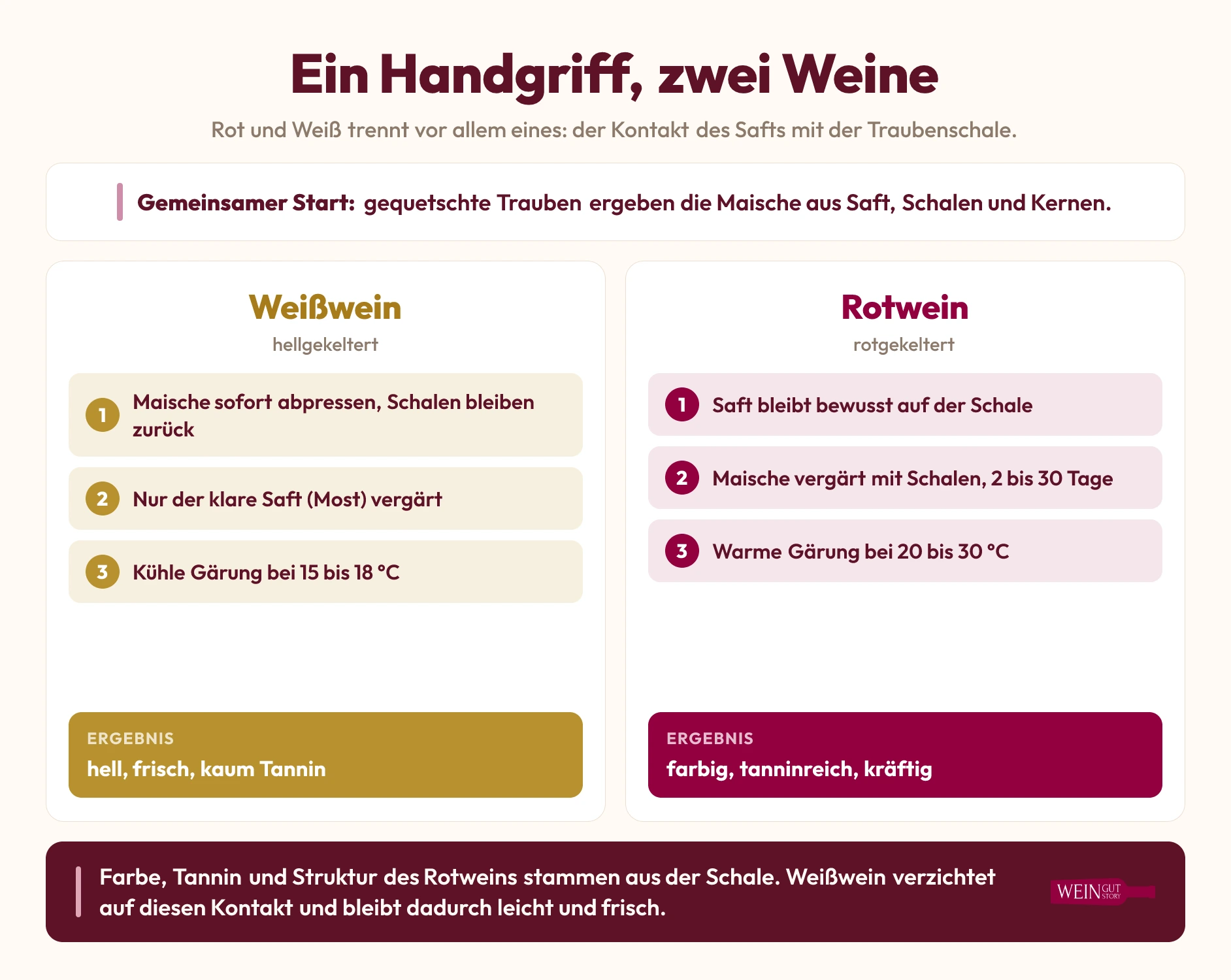 Infografik zum Vergleich der Herstellung von Weißwein ohne Schalen und Rotwein mit Schalen samt Gärtemperaturen