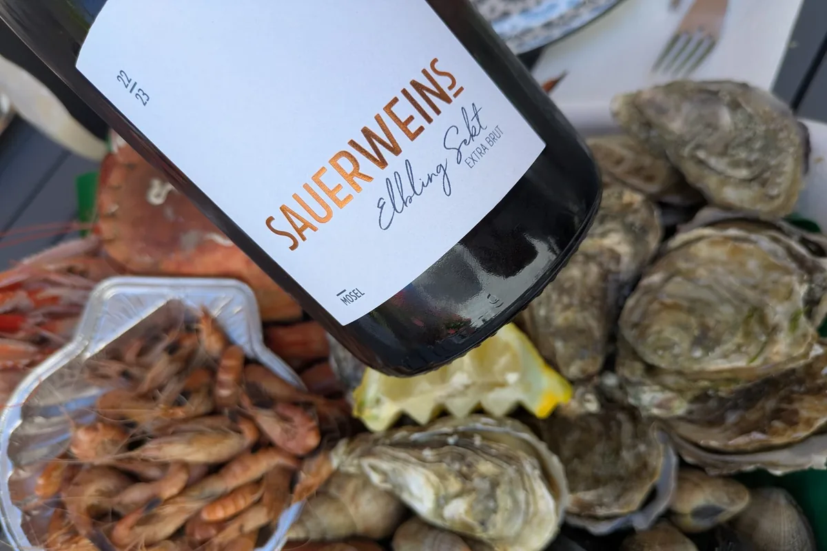 Elbling Sekt Extra Brut von SAUERWEINS mit Austern und Garnelen