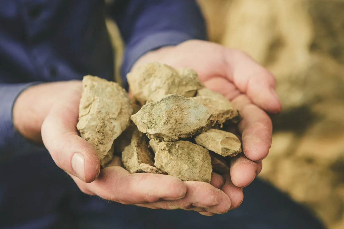 Hände halten Muschelkalkgestein aus den Weinbergen von SAUERWEINS in Palzem
