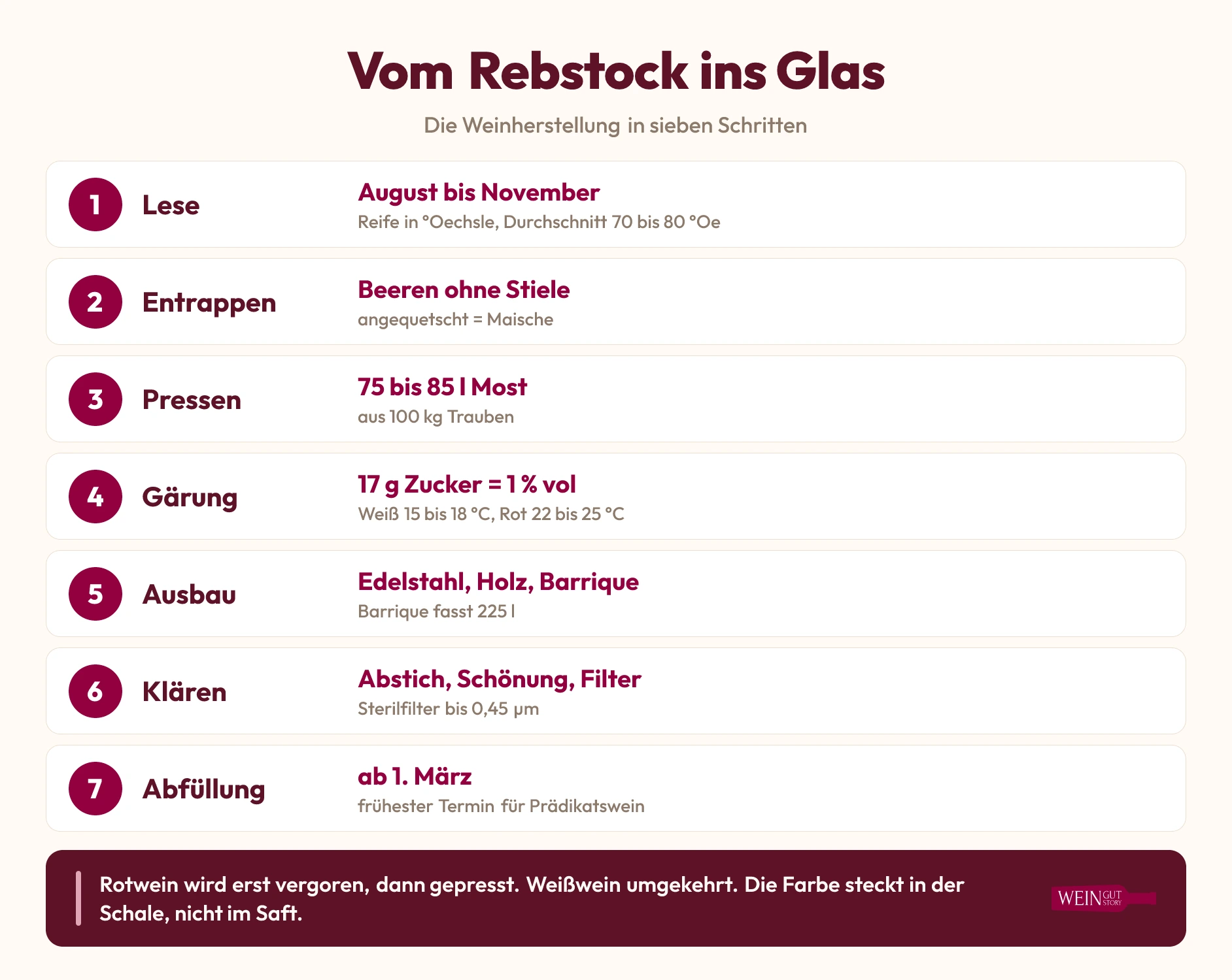Infografik: Die Weinherstellung in sieben Schritten von der Lese bis zur Abfüllung mit Kennzahlen