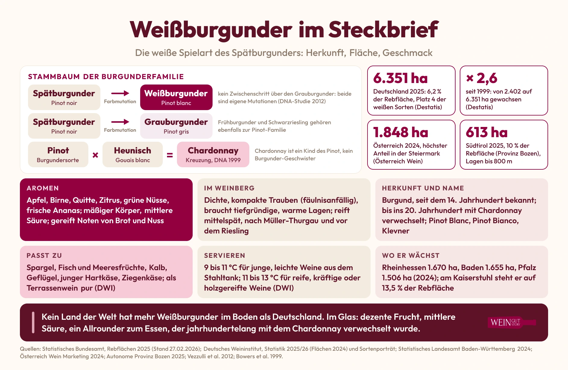 Infografik Weißburgunder im Steckbrief: Stammbaum der Burgunderfamilie, 6.351 Hektar in Deutschland 2025, Flächen in Österreich und Südtirol, Aromen, Anbau, Herkunft, passende Speisen, Serviertemperatur und Anbaugebiete