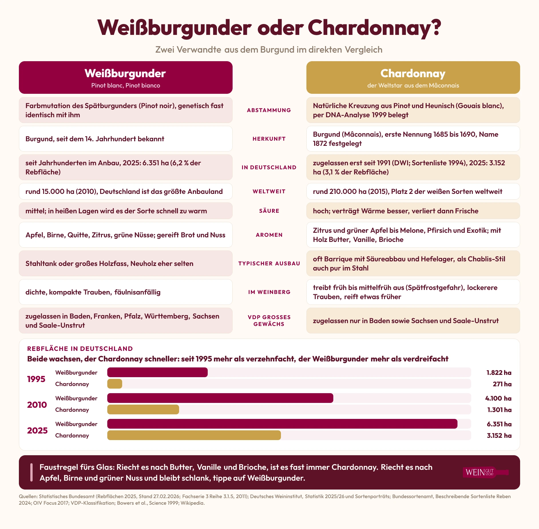 Infografik Weißburgunder oder Chardonnay: Vergleich von Abstammung, Herkunft, Zulassung in Deutschland, Rebfläche, Säure, Aromen, Ausbau, Weinberg und VDP Großes Gewächs sowie Balkendiagramm der Rebfläche in Deutschland 1995, 2010 und 2025